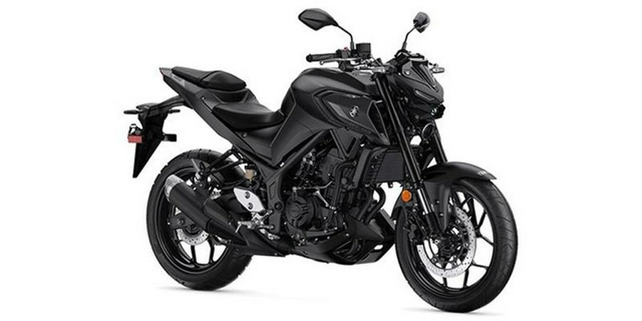 2023 Yamaha MT 03