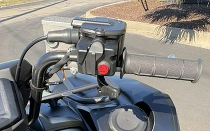 2026 Yamaha Grizzly EPS XT-R