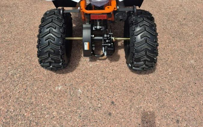 2025 Kayo Fox / Storm 70