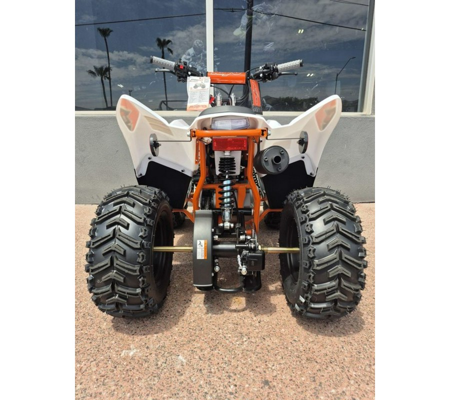 2025 Kayo Fox / Storm 70