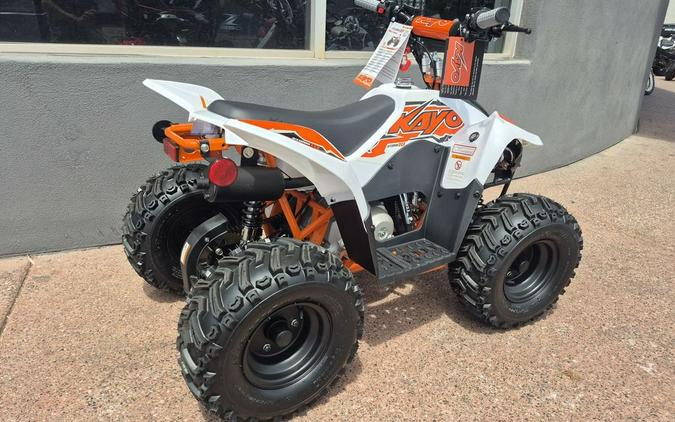 2025 Kayo Fox / Storm 70