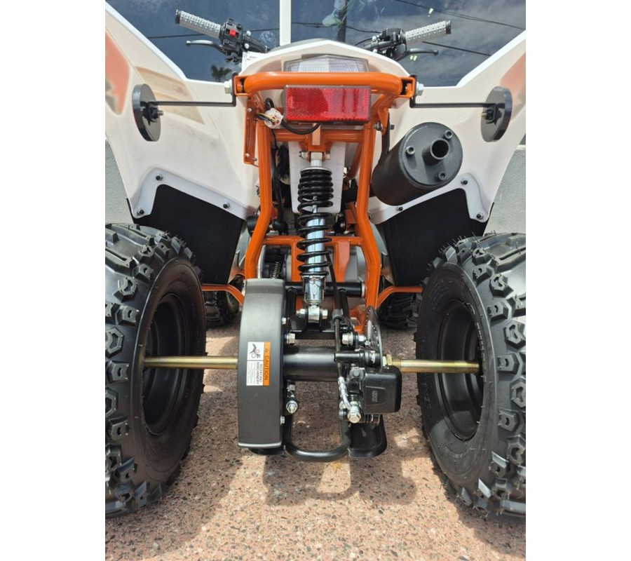 2025 Kayo Fox / Storm 70