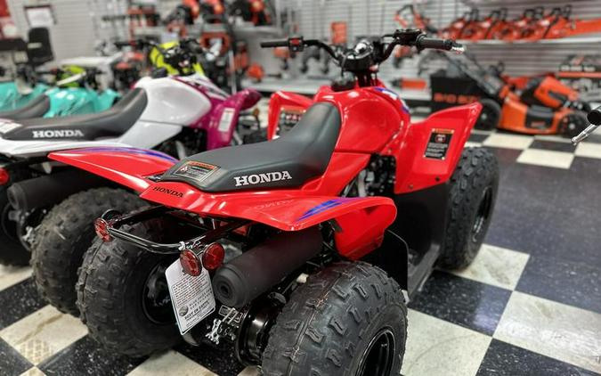 2024 Honda® TRX90X