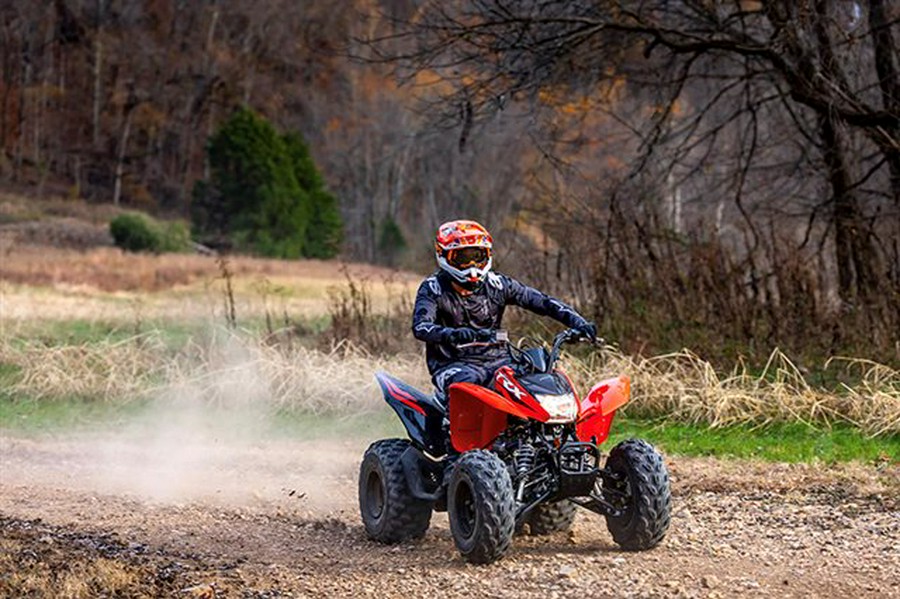 2024 Honda TRX250X