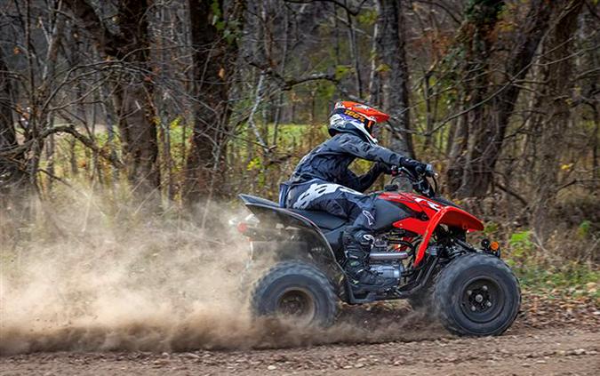 2024 Honda TRX250X