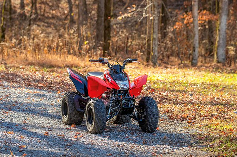 2024 Honda TRX250X