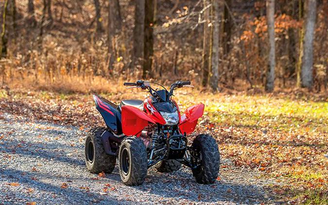 2024 Honda TRX250X