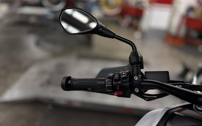 2024 BMW R 1300 GS Light White