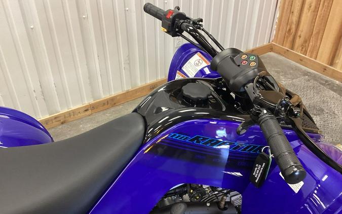 2024 Yamaha Raptor 110