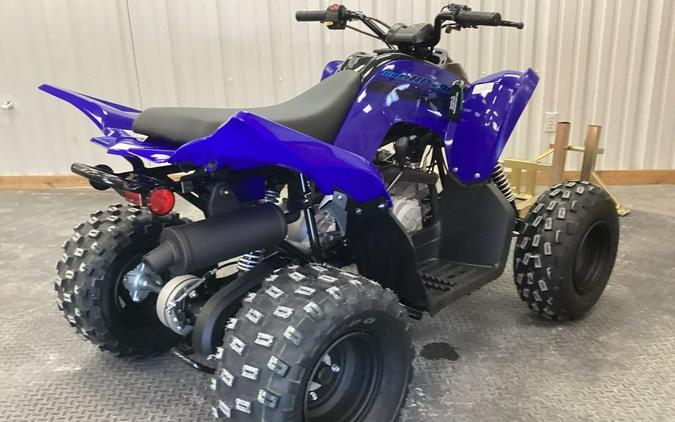 2024 Yamaha Raptor 110