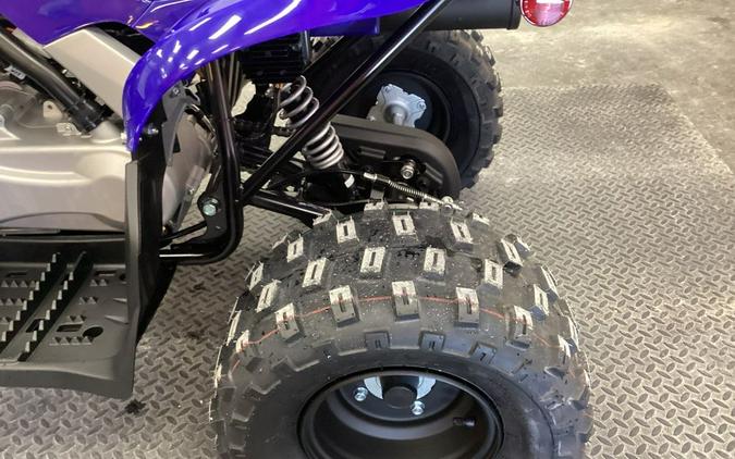 2024 Yamaha Raptor 110