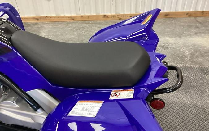 2024 Yamaha Raptor 110