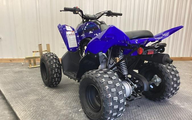 2024 Yamaha Raptor 110