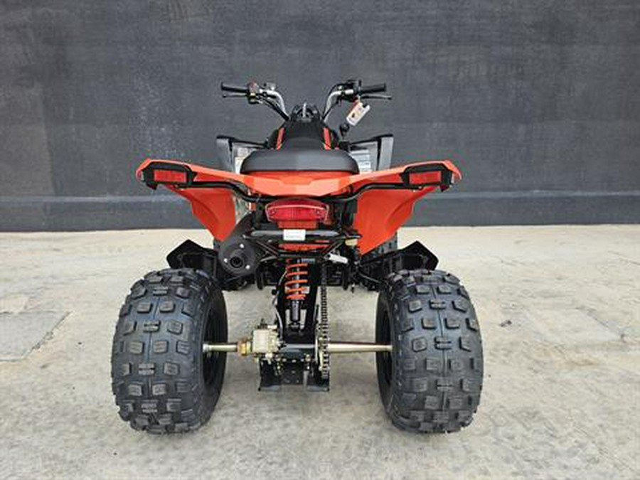 2024 Can-Am DS 250