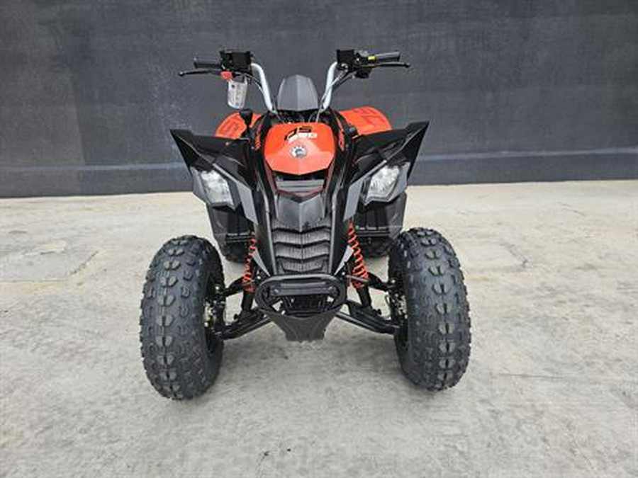 2024 Can-Am DS 250