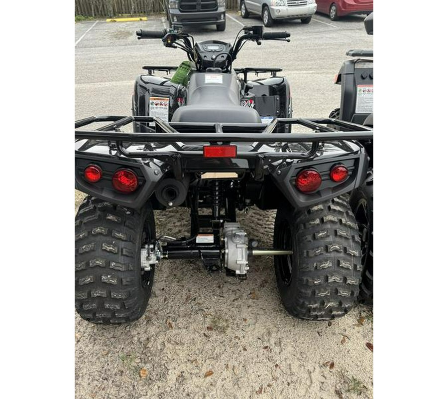 2023 Kawasaki Brute Force® 300