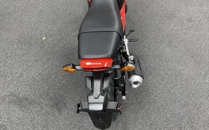 2025 Honda® MSX125S