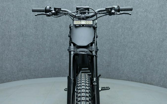 2025 E RIDE PRO SS 3.0