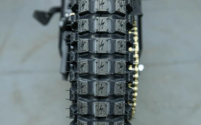 2025 E RIDE PRO SS 3.0