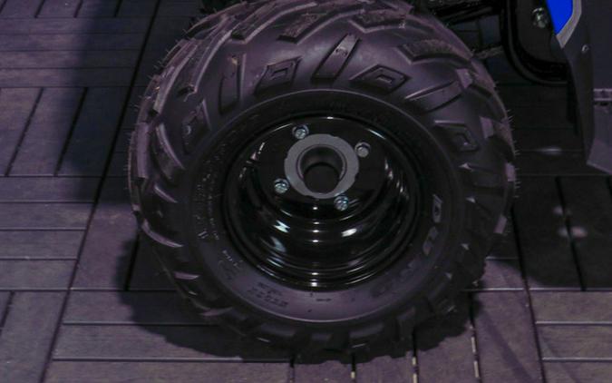 2027 Polaris Sportsman 110 EFI