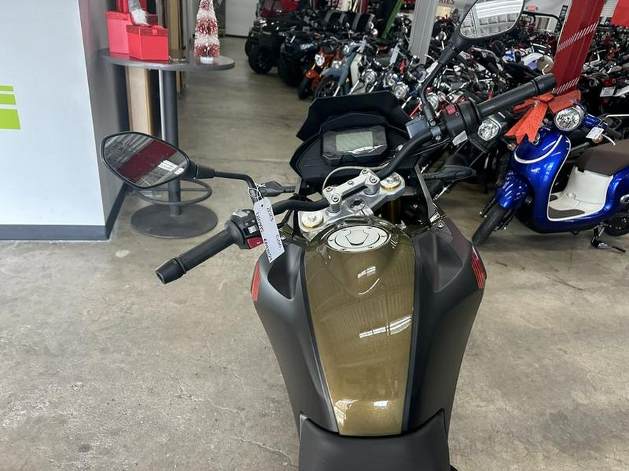 2023 BMW G 310 GS Rally