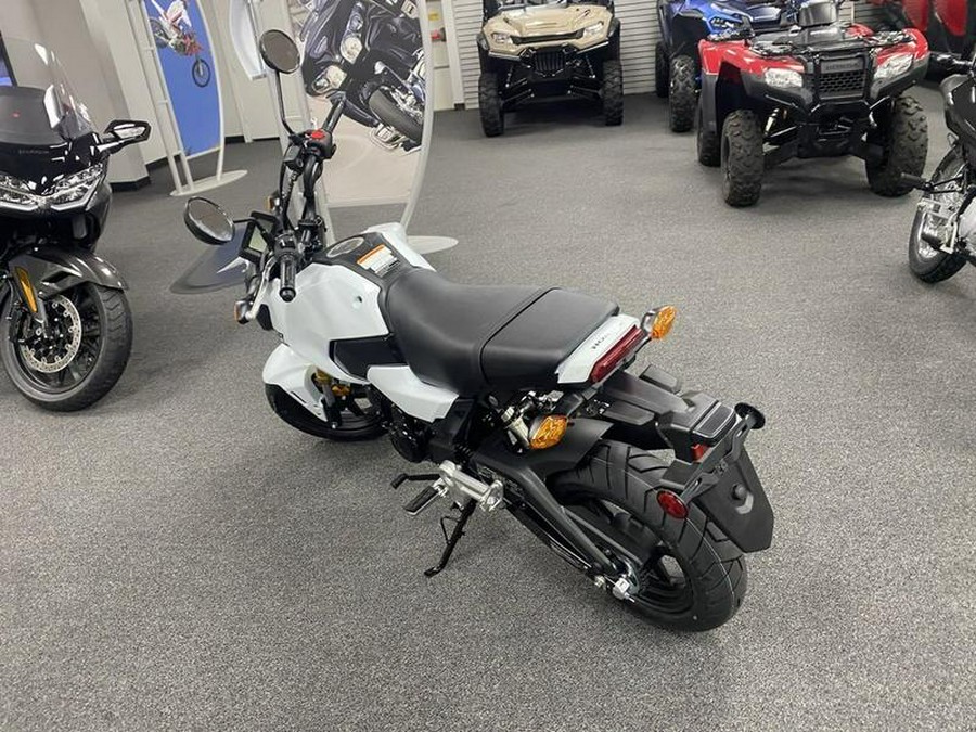 2025 Honda® MSX125S