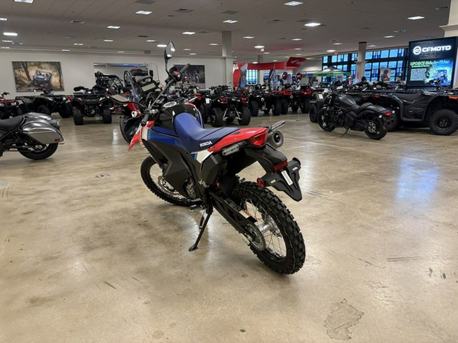 2025 Honda CRF300L Rally ABS