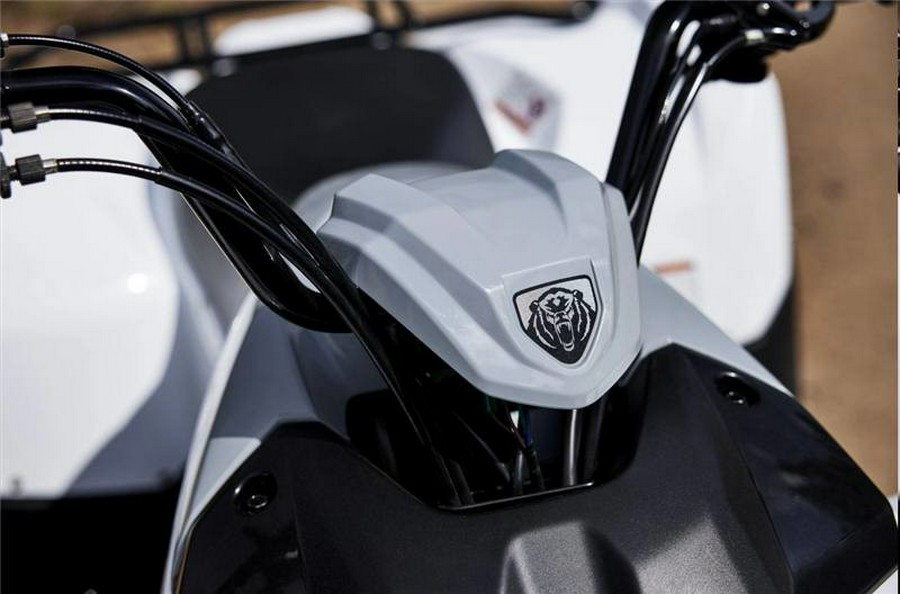 2024 GRIZZLY 90 - Yamaha