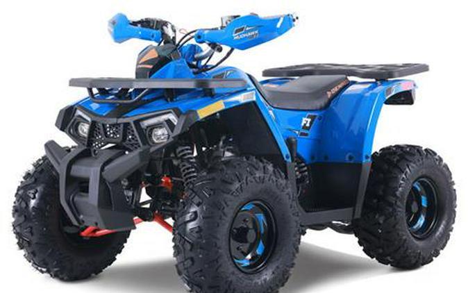 2026 Denago Powersports Mudhawk 10FI