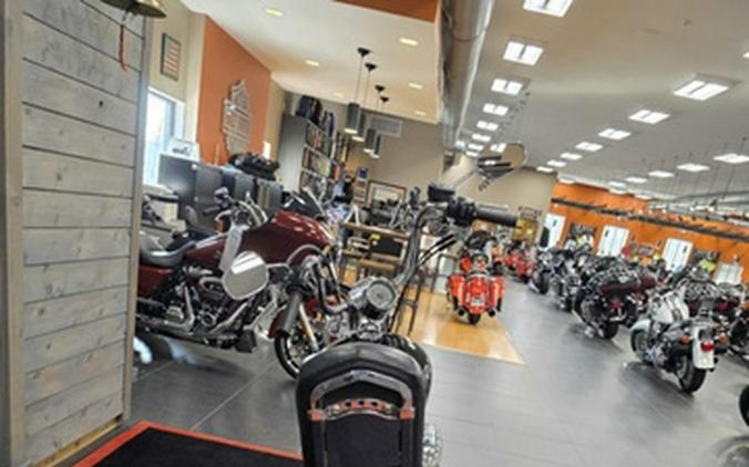 2008 Harley-Davidson Sportster XL883C - 883 Custom