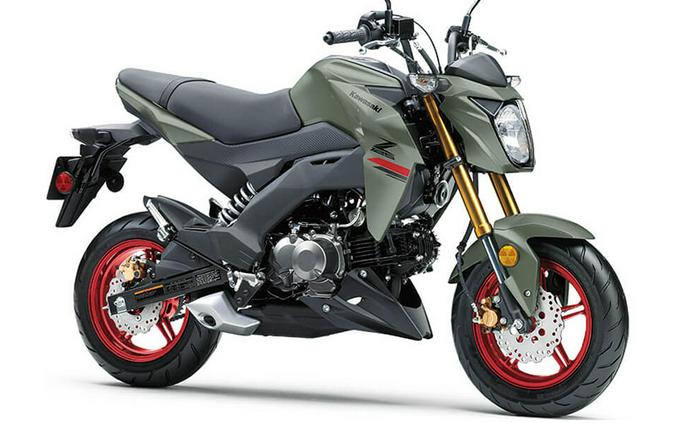 2023 Kawasaki Z125 Pro