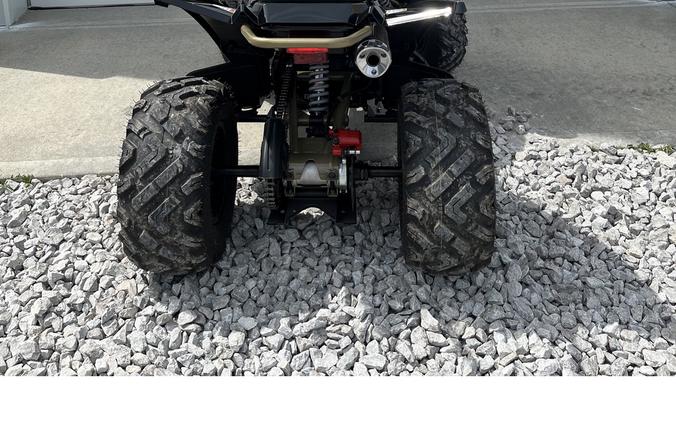 2025 Daytona 250 FI - Denago Powersports