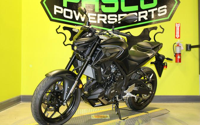 2024 Yamaha MT-03 / MT03RB