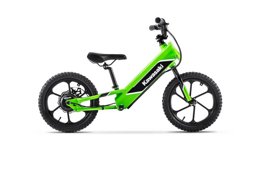 2023 ELEKTRODE - Kawasaki