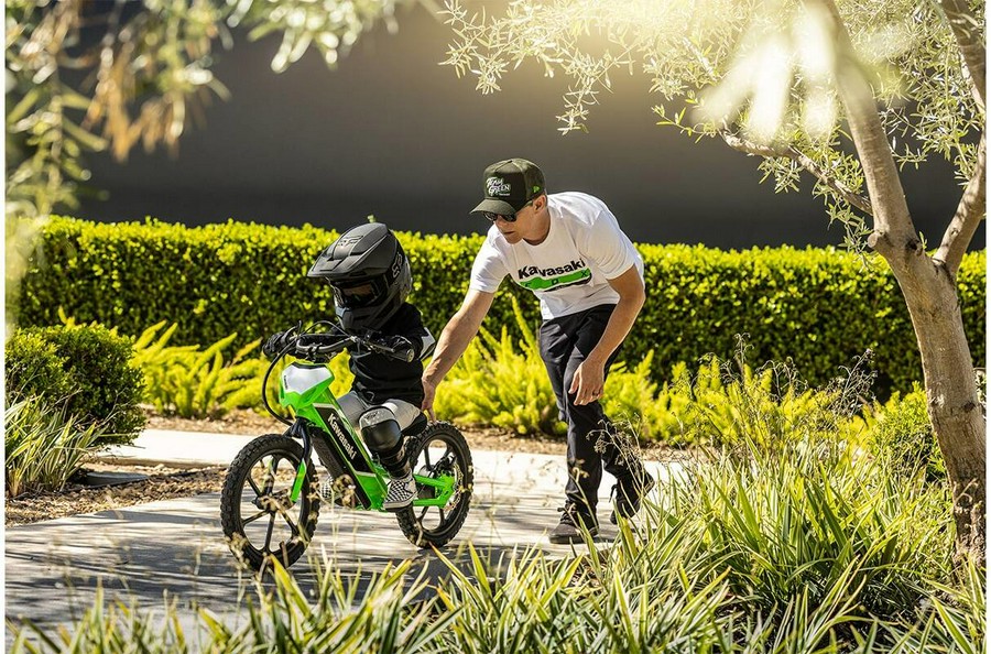 2023 ELEKTRODE - Kawasaki