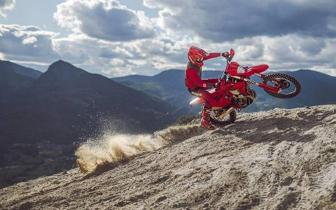 2025 GasGas EC 450F Red - 310664