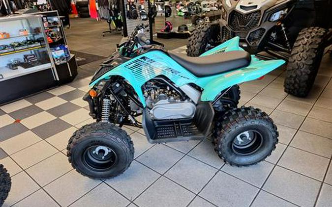 2024 Yamaha Raptor 110