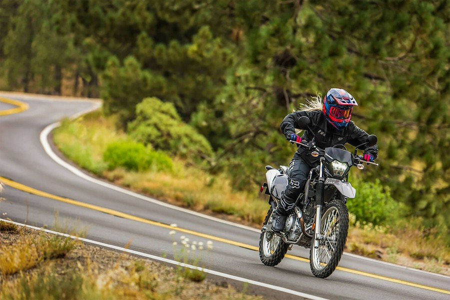 2023 Kawasaki KLX 230 S