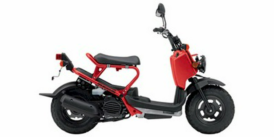 2009 Honda® Ruckus