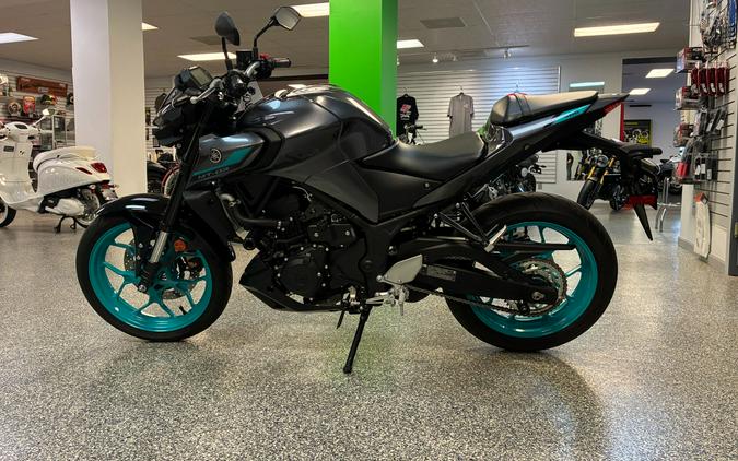 2024 Yamaha Motor Corp., USA MT-03