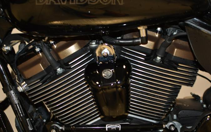 2022 Harley-Davidson Road Glide ST FLTRXST