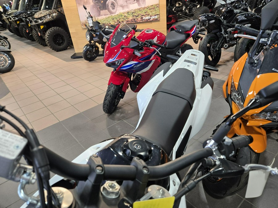 2025 SUZUKI DR-Z4SM
