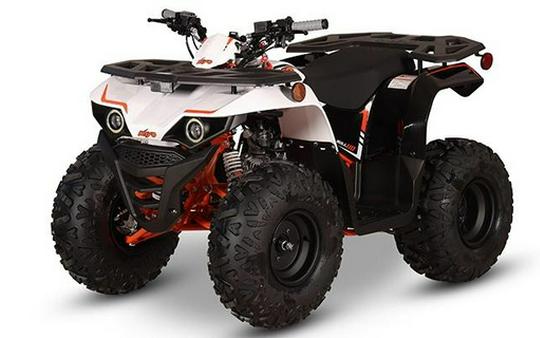 2027 Kayo Bull 110