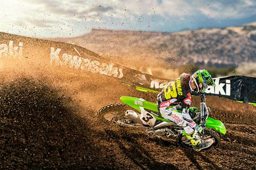 2019 Kawasaki KX 450