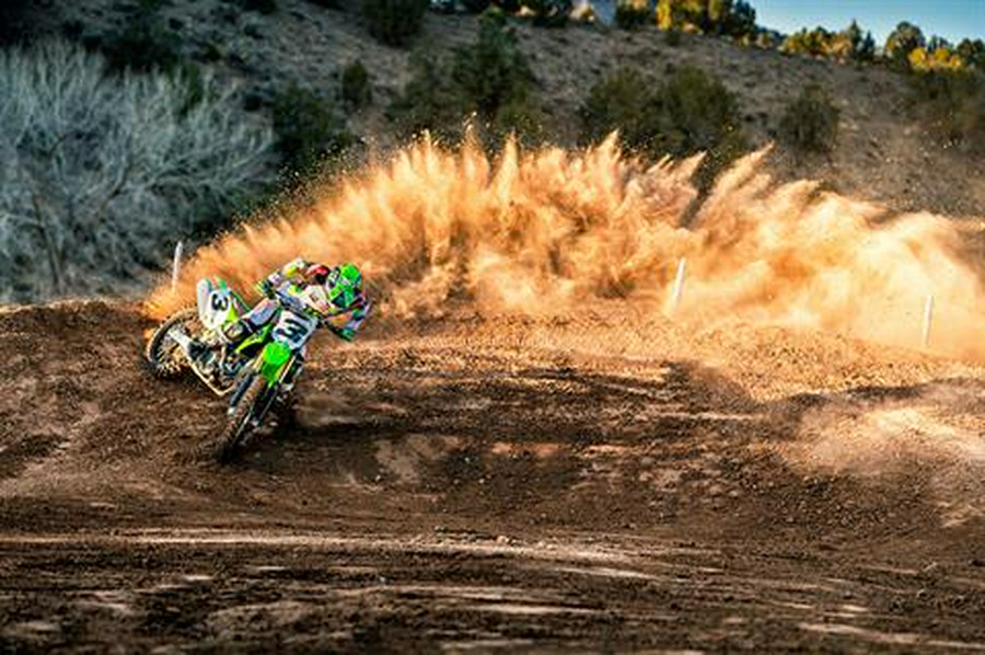 2019 Kawasaki KX 450