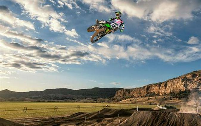 2019 Kawasaki KX 450