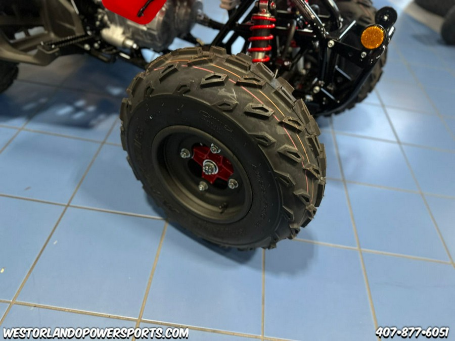 2024 Honda® TRX250X