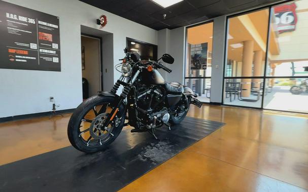 2020 Harley-Davidson® Iron 883™ Black Denim