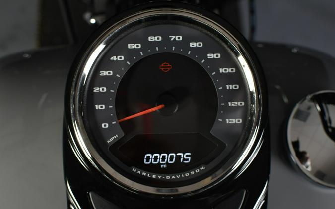 2025 Harley-Davidson Heritage Classic