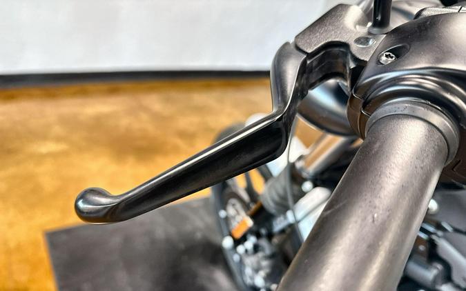 2020 Harley-Davidson® Iron 883™ Barracuda Silver Denim